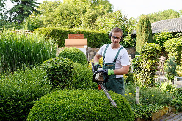 Soil Testing and Treatment